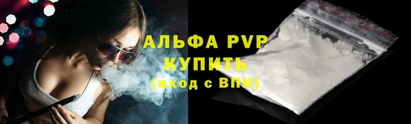 дмт Касимов