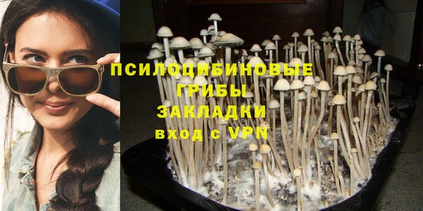 дмт Касимов