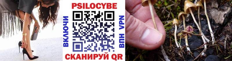 Купить закладки  Уварово  Галлюциногенные грибы Psilocybine cubensis 